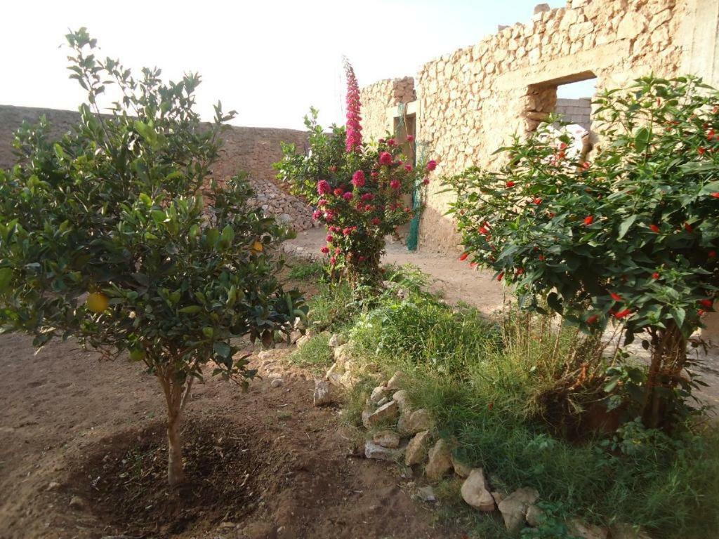 Ferienwohnung Takad Dream Rural El Borj Exterior foto